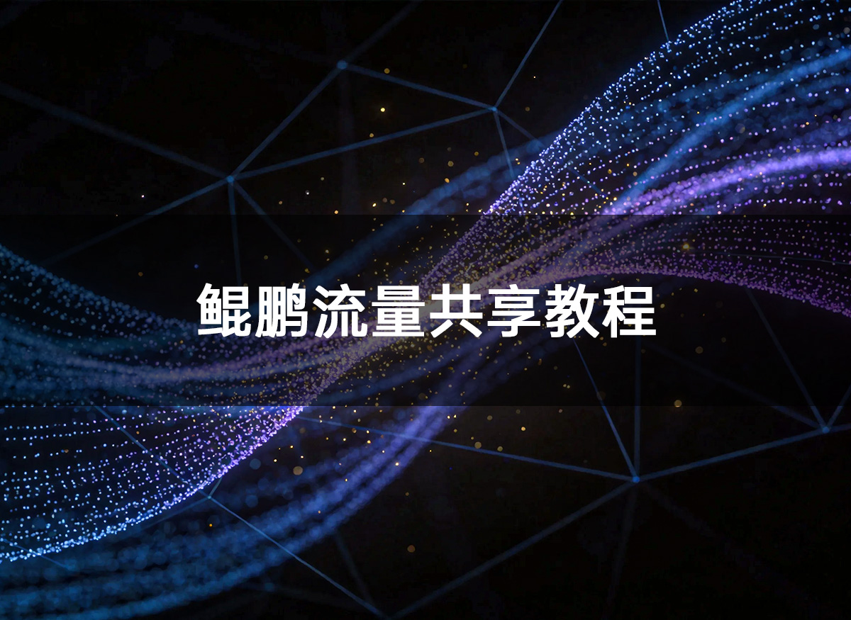 鲲鹏流量共享教程