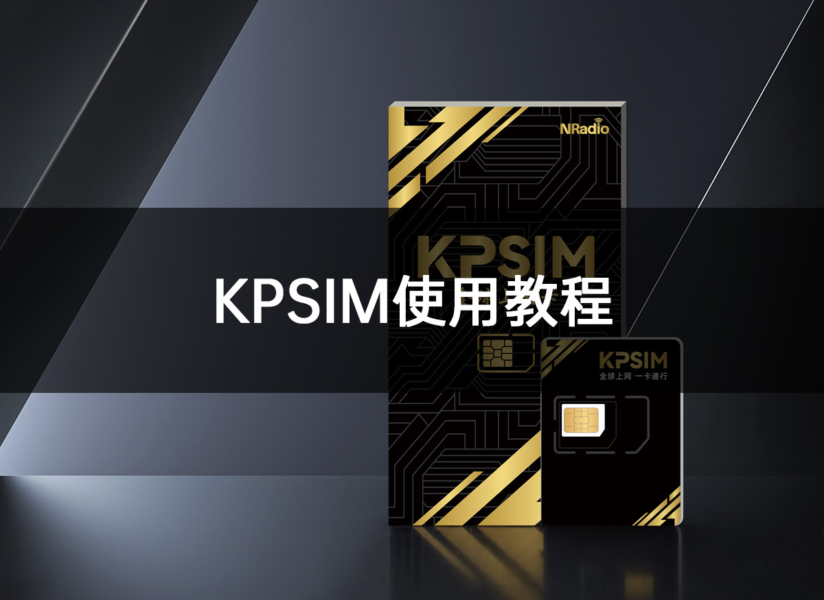 KPSIM使用教程