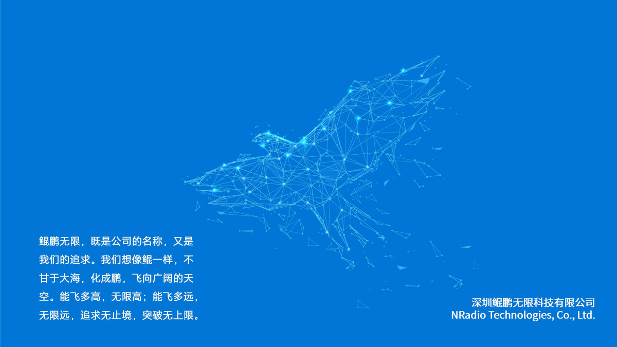 公司介绍11